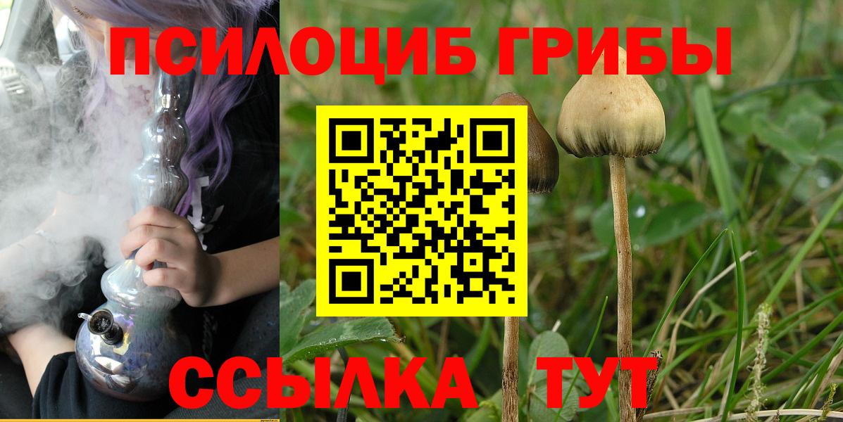Галлюциногенные грибы мицелий  Галлюциногенные грибы GOLDEN TEACHER  Вход с VPN  Минеральные Воды 