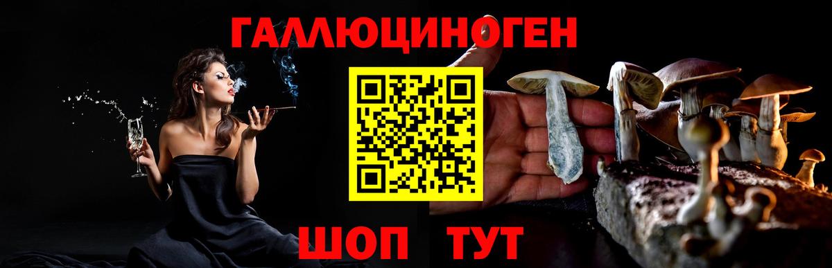 Псилоцибиновые грибы ЛСД Минеральные Воды